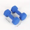 006e5b66cb0b4f77b5d8f9e168dd8c7f-goods.webp Cross-Border Colored Dumbbells - 2 Packs