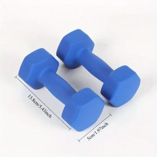 006e5b66cb0b4f77b5d8f9e168dd8c7f-goods.webp Cross-Border Colored Dumbbells - 2 Packs