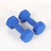 2c798f47318745d39f90b2fca2e95ac1-goods.webp Cross-Border Colored Dumbbells - 2 Packs