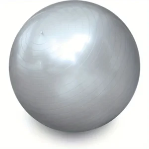6900977a8c4f44398f10f5964b1b36c8-goods.webp Gray Yoga Balance Ball with Air Pump