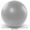 9f1d4500b318417bbd16bb29c5409d1f-goods.webp Gray Yoga Balance Ball with Air Pump