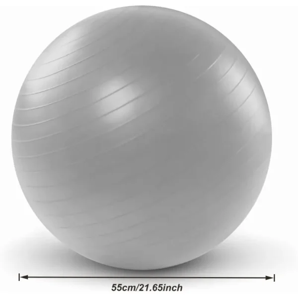 9f1d4500b318417bbd16bb29c5409d1f-goods.webp Gray Yoga Balance Ball with Air Pump