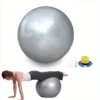 d2e3bdcdada84cc9b24d6cd0f4c6b75c-goods.webp Gray Yoga Balance Ball with Air Pump